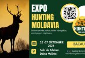 Hunting Moldavia