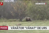 Vânător „vânat” de urs