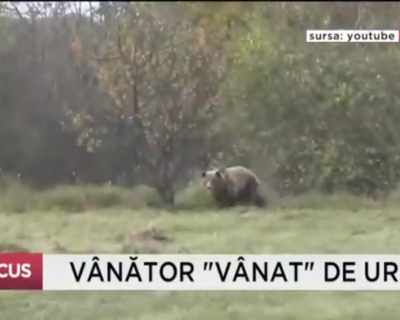 Vânător „vânat” de urs