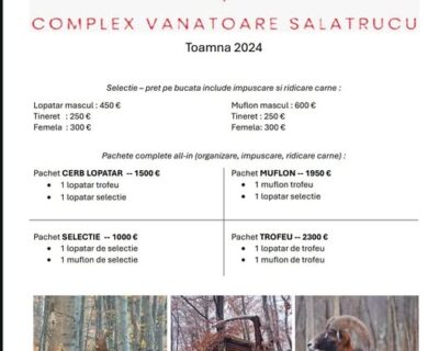 Complex Vânătoare Mistrețul-Sălătrucu