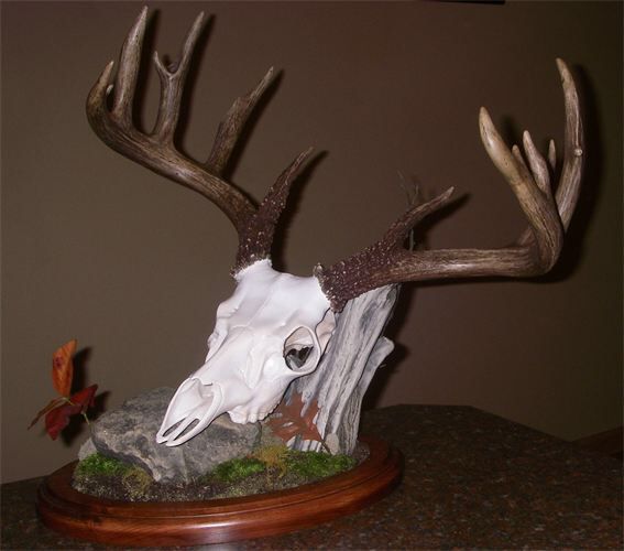 Taxidermist